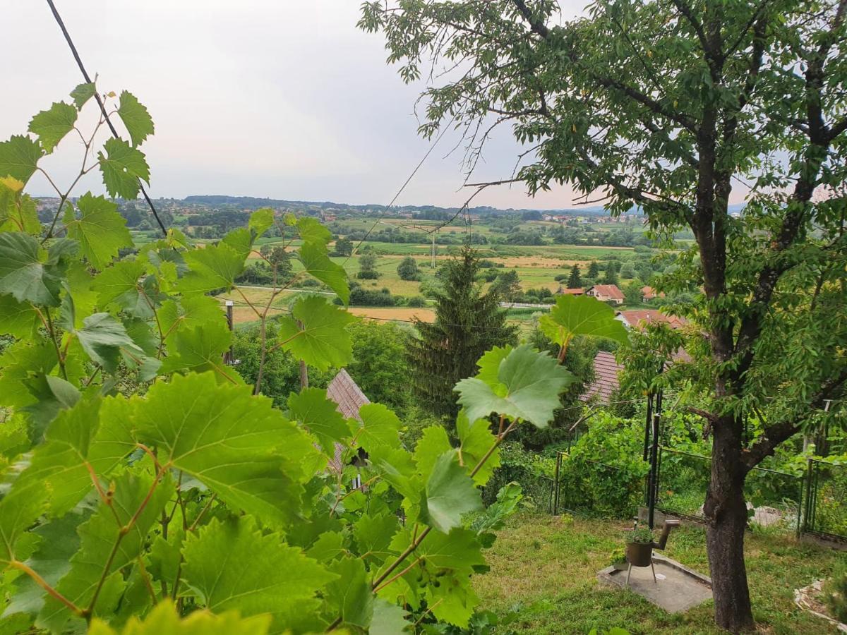 Holiday Home Draskica Oroslavje Luaran gambar